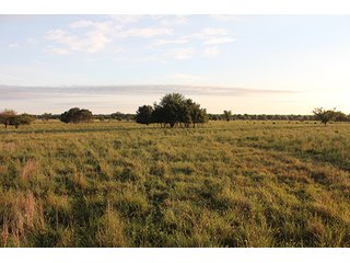 Tract 7 - LAND AUCTION - 440+/- Acres offered in 15 Tracts in Tulsa County